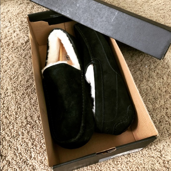 UGG Other - NEW! STILL IN BOX UGGS!